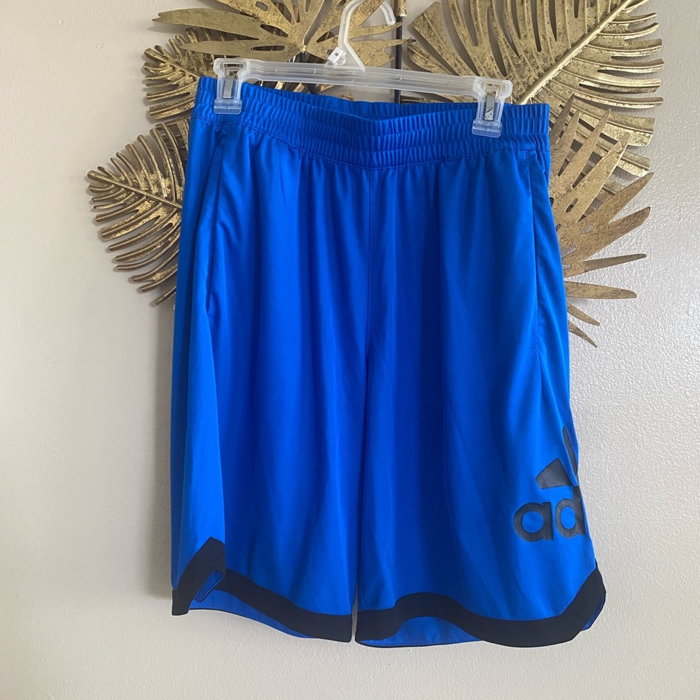 Adidas Men's Bright Blue Athletic Shorts